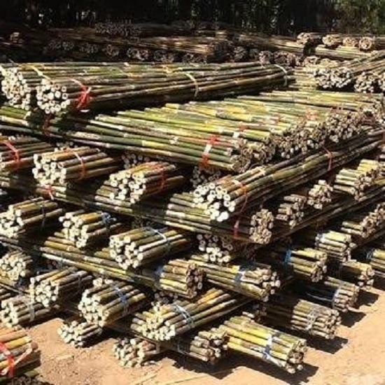 ขายส่งไม้ไผ่รวก รามอินทรา - ร้านขายไม้ไผ่ ไม้แบบ -  สุนทรวาณิชย์