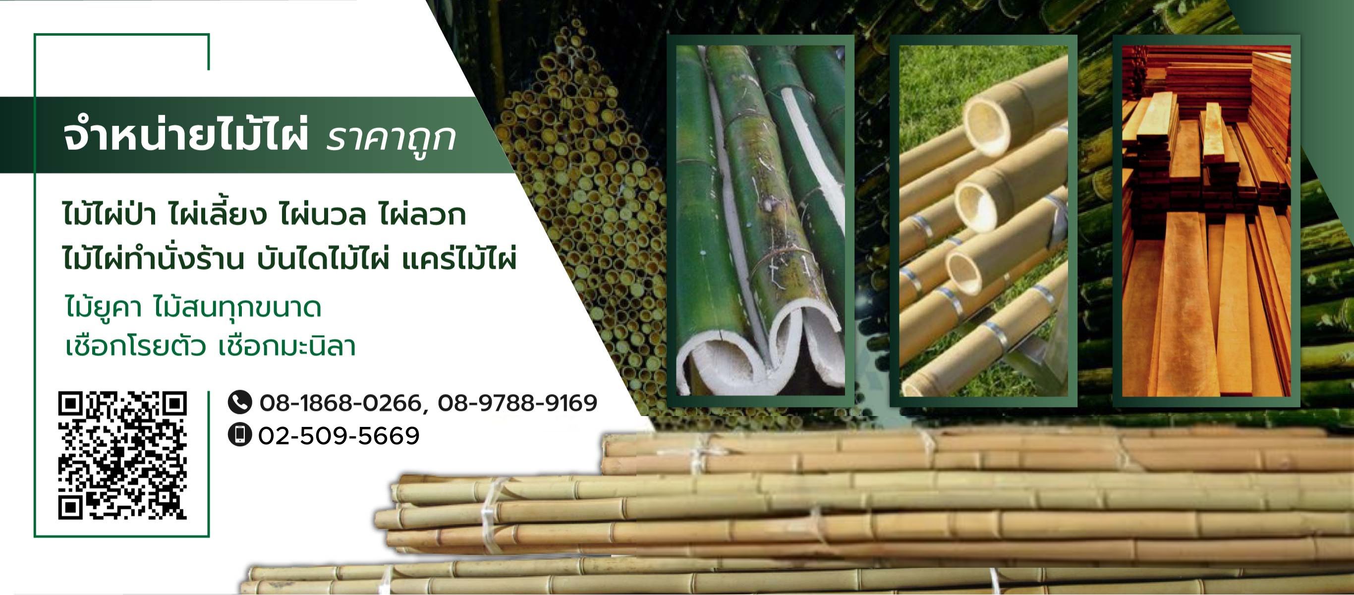 ร้านขายไม้ไผ่ ไม้ยูคา ราคาโรงงาน